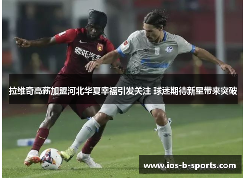 拉维奇高薪加盟河北华夏幸福引发关注 球迷期待新星带来突破