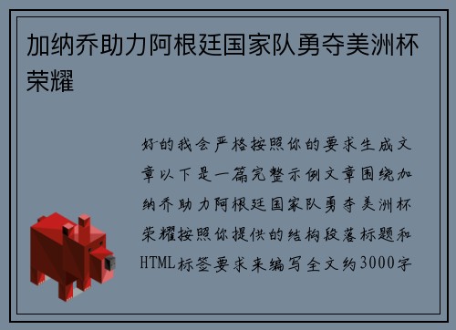 加纳乔助力阿根廷国家队勇夺美洲杯荣耀